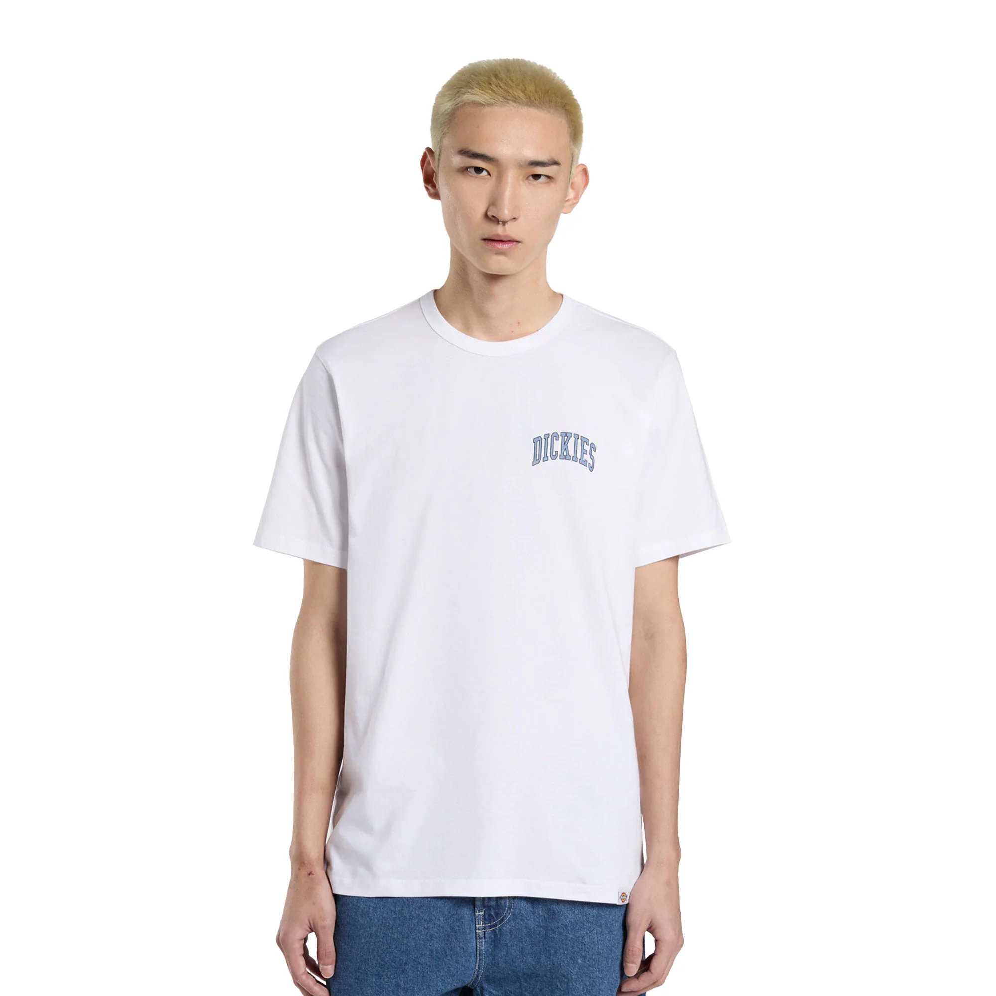Dickies Aitkin Chest T-Shirt White/Blue