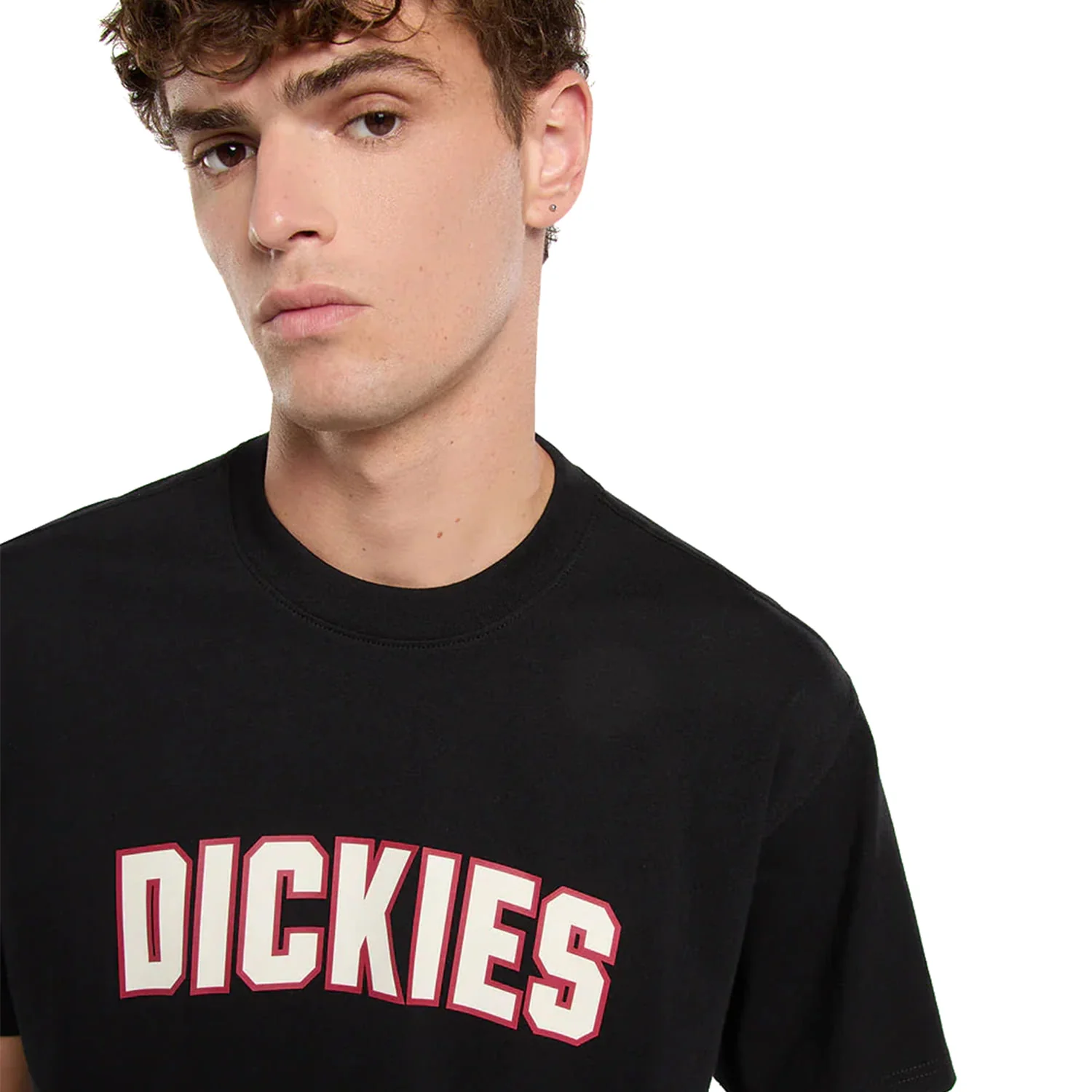 Dickies Aitkin T-Shirt Black - Image 2