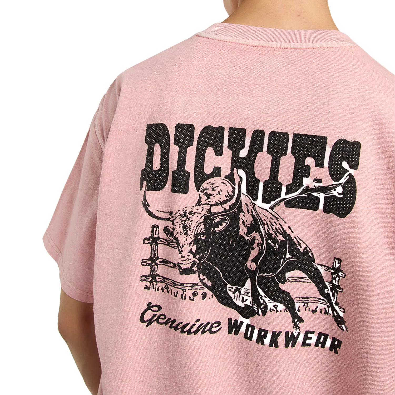 Dickies Buchtell SS Tee Bridal Rose - Image 4