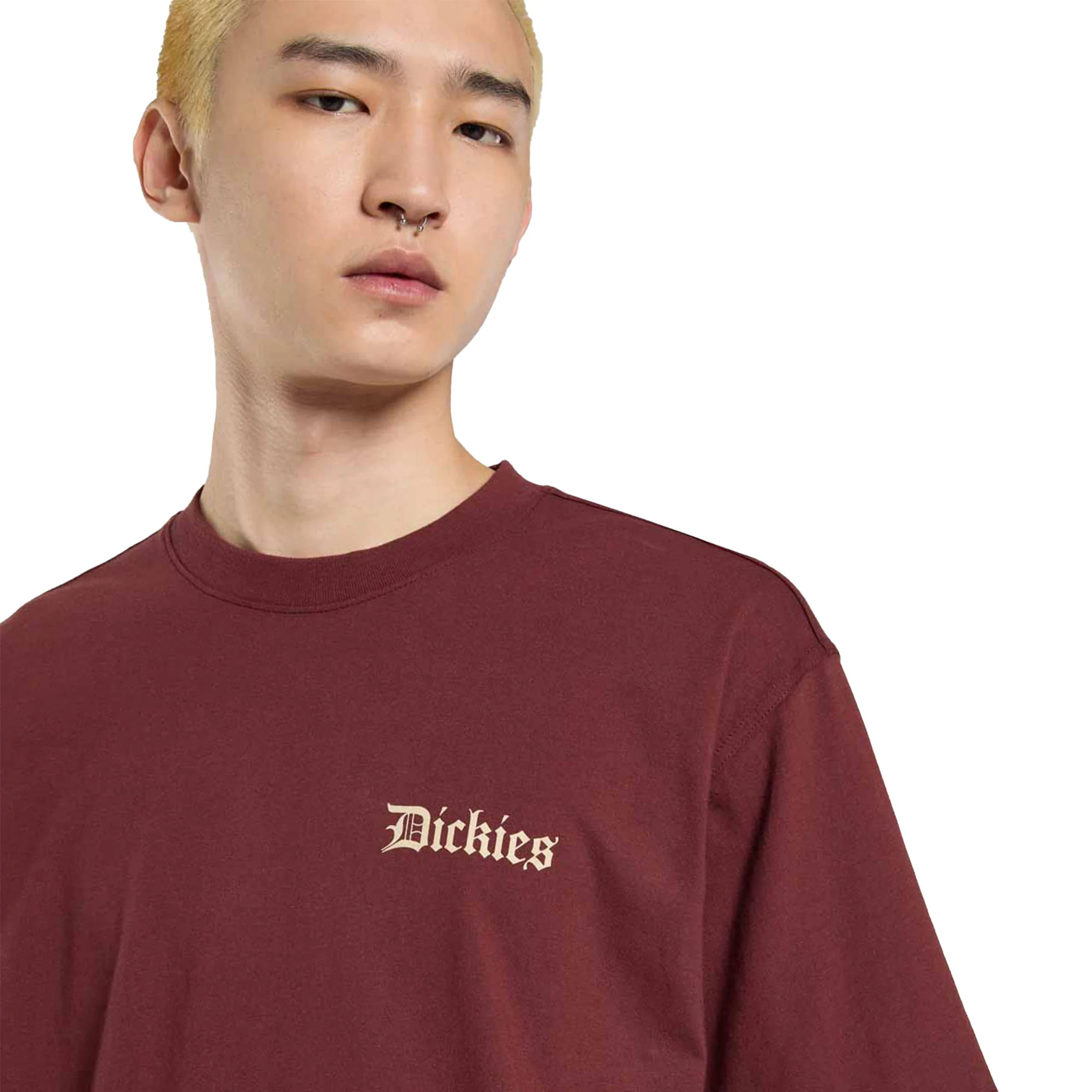 Dickies Diner SS Tee Andorra - Image 4