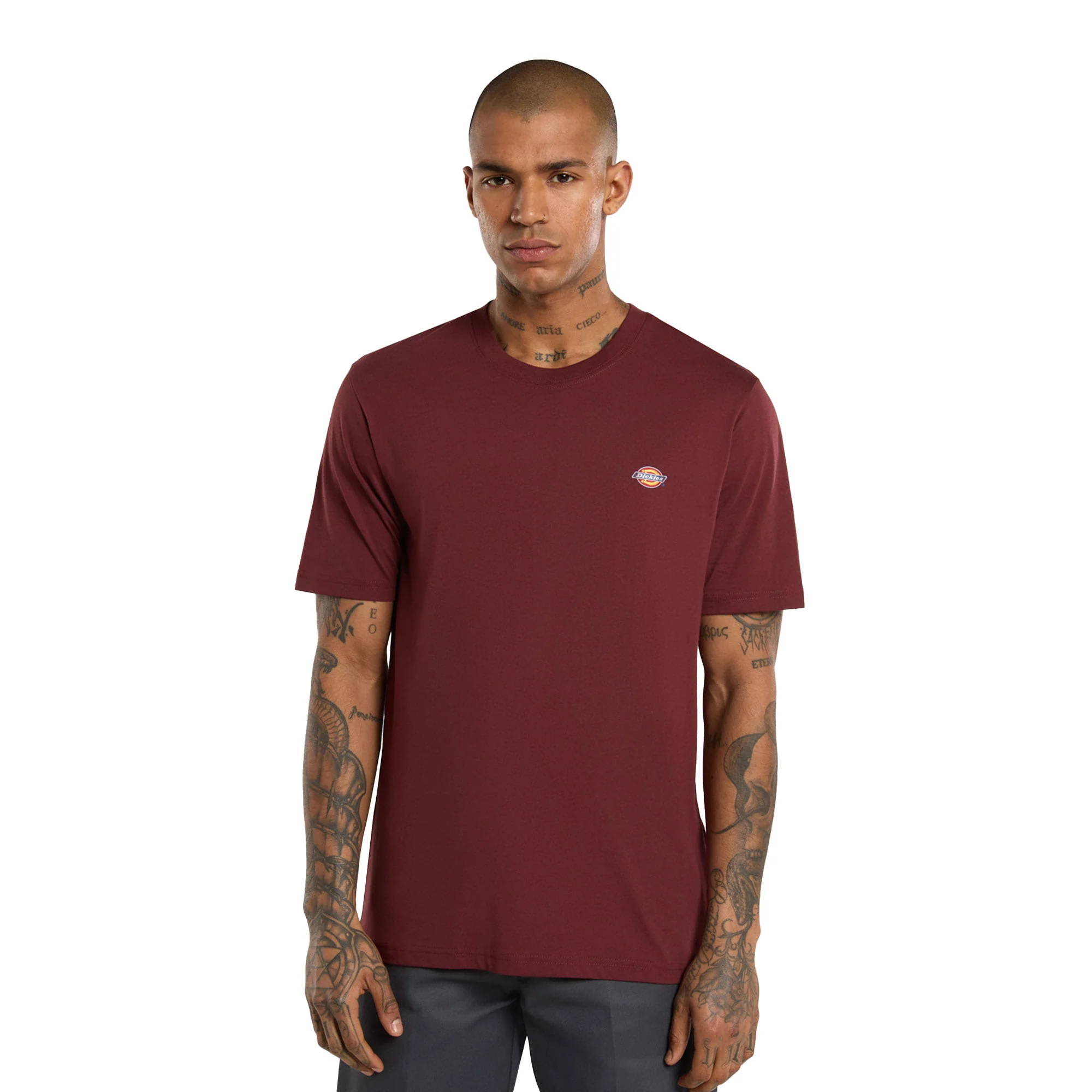 Dickies Mapleton T-Shirt Andorra