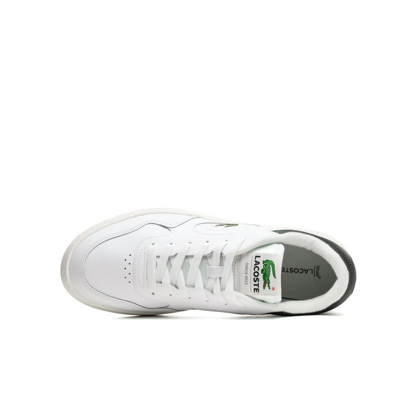 Lacoste Lineset White/Dark Green - Image 5