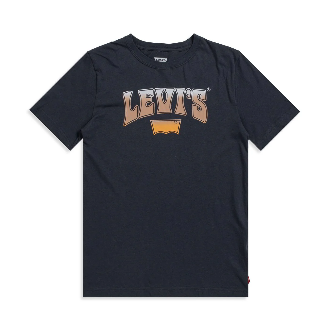 Levis Rock Out Tee India Ink