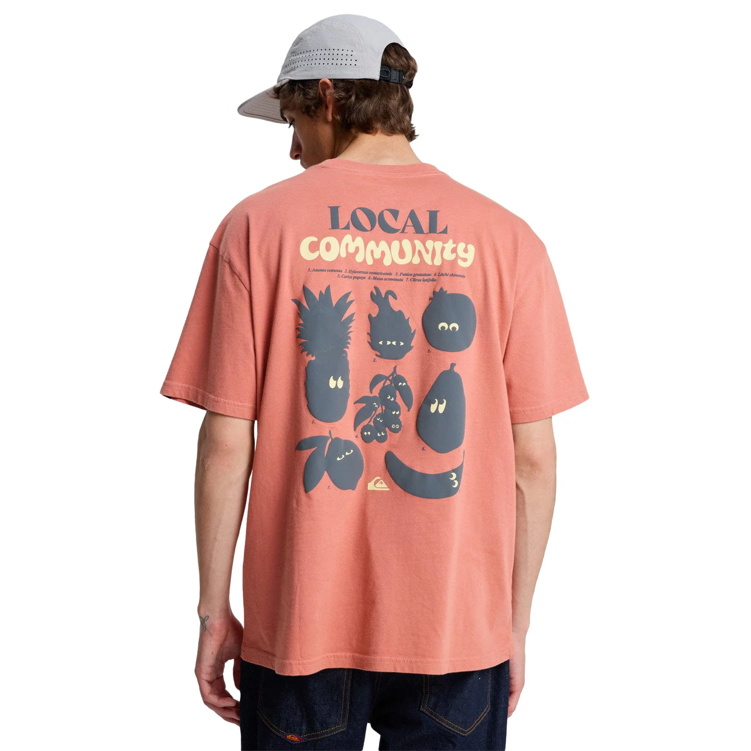 Quiksilver Fruits Tide SS Tee Desert Sand - Image 2